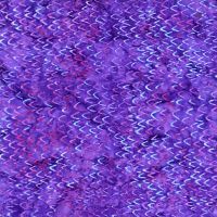 ttTonga-B3704 GRAPE